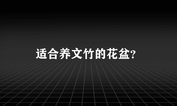 适合养文竹的花盆？