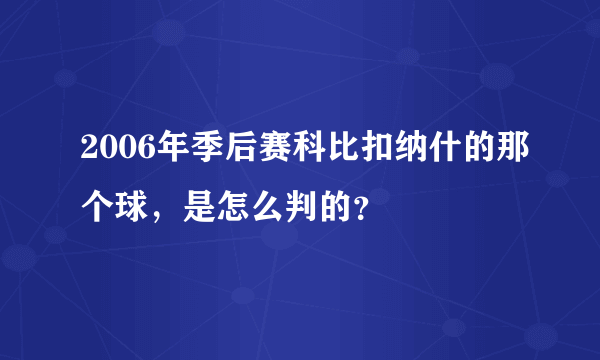 2006年季后赛科比扣纳什的那个球，是怎么判的？