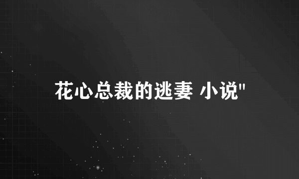 花心总裁的逃妻 小说