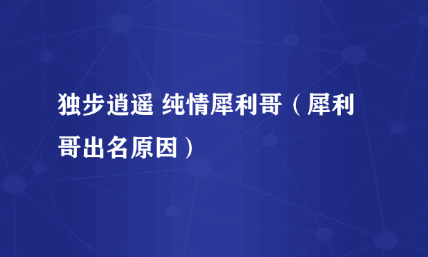 独步逍遥 纯情犀利哥（犀利哥出名原因）