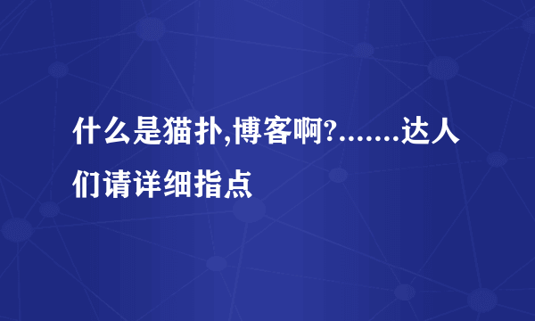 什么是猫扑,博客啊?.......达人们请详细指点