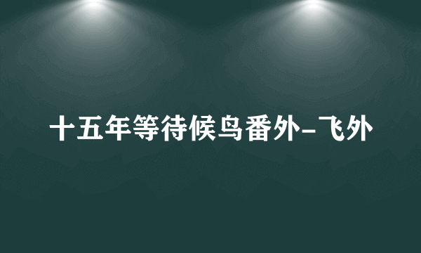 十五年等待候鸟番外-飞外