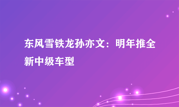 东风雪铁龙孙亦文：明年推全新中级车型