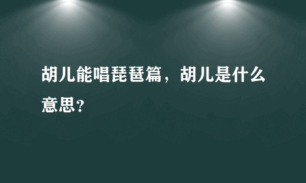 胡儿能唱琵琶篇，胡儿是什么意思？