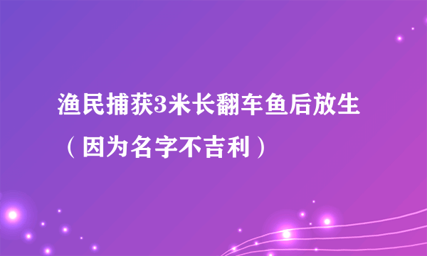 渔民捕获3米长翻车鱼后放生（因为名字不吉利）