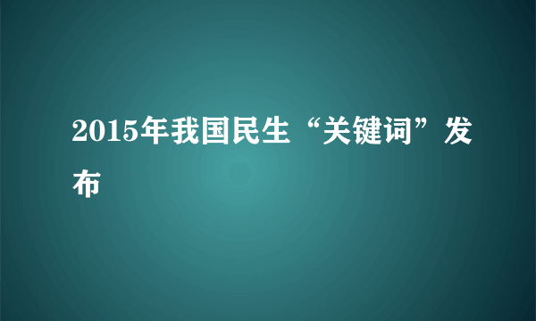 2015年我国民生“关键词”发布