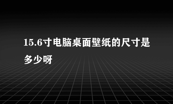 15.6寸电脑桌面壁纸的尺寸是多少呀