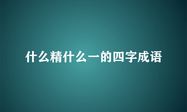 什么精什么一的四字成语