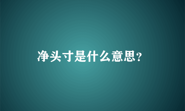 净头寸是什么意思？