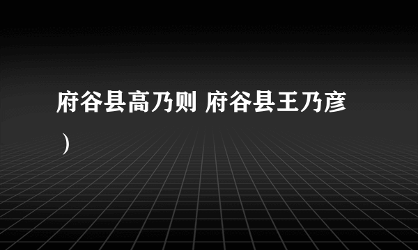 府谷县高乃则 府谷县王乃彦）