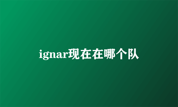 ignar现在在哪个队