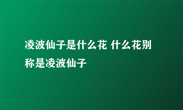 凌波仙子是什么花 什么花别称是凌波仙子