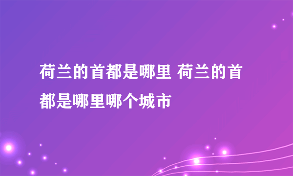 荷兰的首都是哪里 荷兰的首都是哪里哪个城市