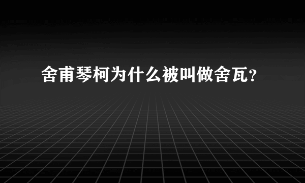 舍甫琴柯为什么被叫做舍瓦？