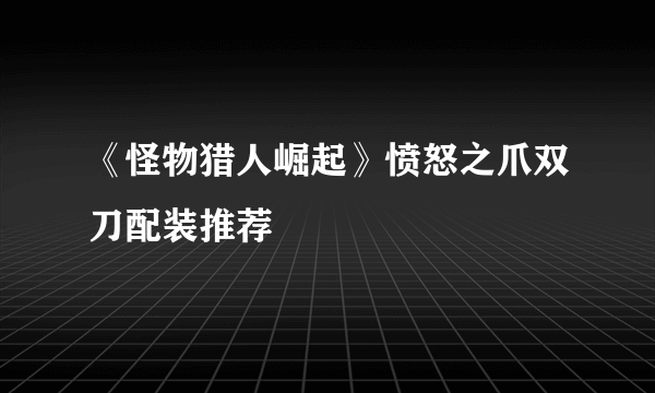 《怪物猎人崛起》愤怒之爪双刀配装推荐