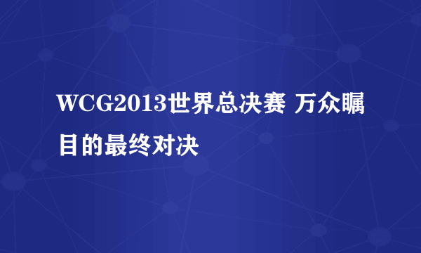 WCG2013世界总决赛 万众瞩目的最终对决