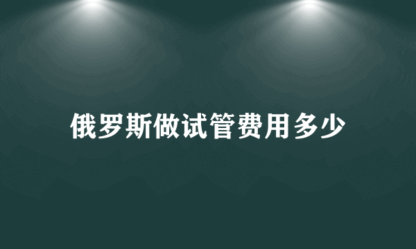 俄罗斯做试管费用多少