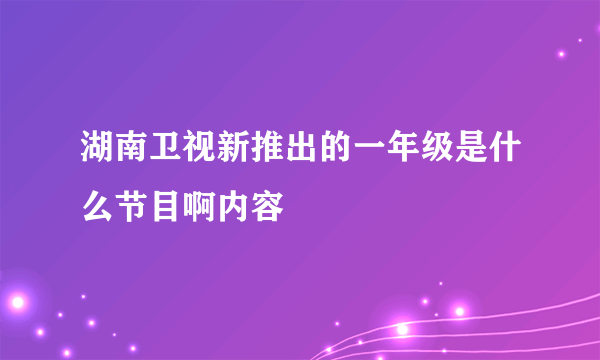 湖南卫视新推出的一年级是什么节目啊内容