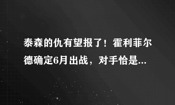 泰森的仇有望报了！霍利菲尔德确定6月出战，对手恰是麦克布莱德