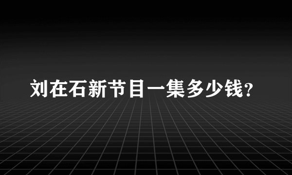 刘在石新节目一集多少钱？