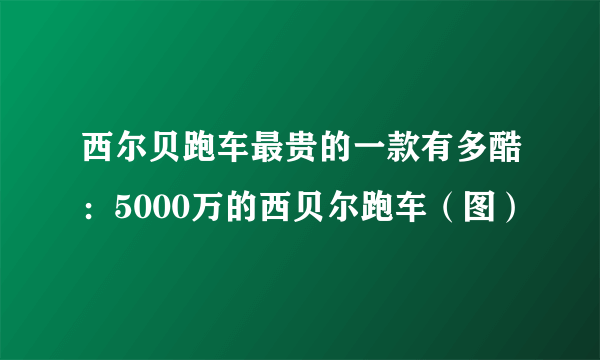 西尔贝跑车最贵的一款有多酷：5000万的西贝尔跑车（图）