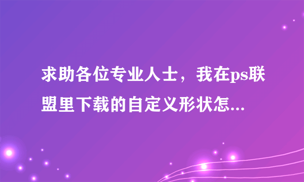 求助各位专业人士，我在ps联盟里下载的自定义形状怎样安装在ps11里面