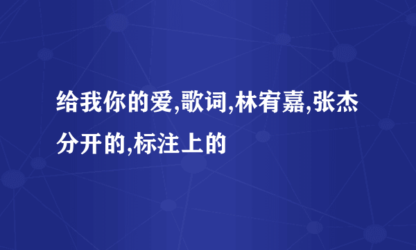 给我你的爱,歌词,林宥嘉,张杰分开的,标注上的