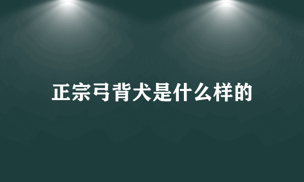 正宗弓背犬是什么样的