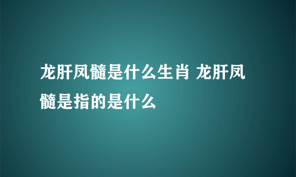 龙肝凤髓是什么生肖 龙肝凤髓是指的是什么