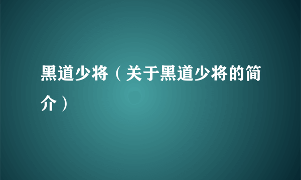 黑道少将（关于黑道少将的简介）