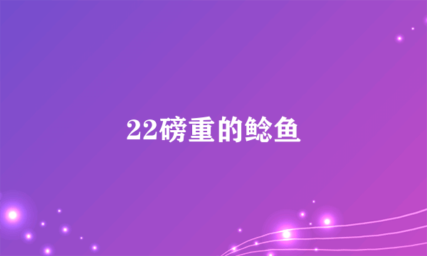 22磅重的鲶鱼