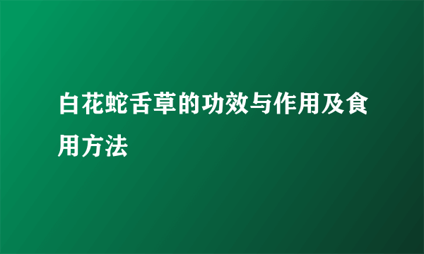 白花蛇舌草的功效与作用及食用方法