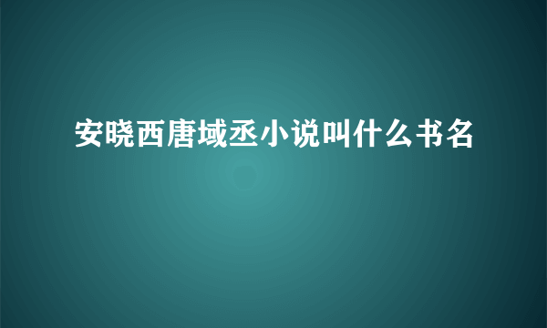 安晓西唐域丞小说叫什么书名