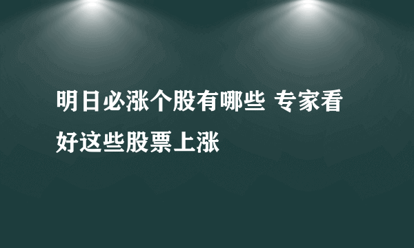 明日必涨个股有哪些 专家看好这些股票上涨