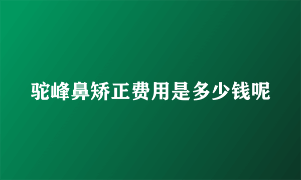 驼峰鼻矫正费用是多少钱呢