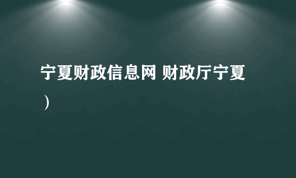 宁夏财政信息网 财政厅宁夏）