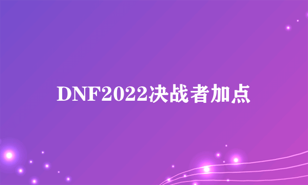 DNF2022决战者加点