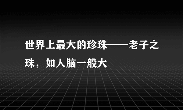 世界上最大的珍珠——老子之珠，如人脑一般大