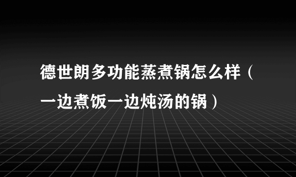 德世朗多功能蒸煮锅怎么样（一边煮饭一边炖汤的锅）