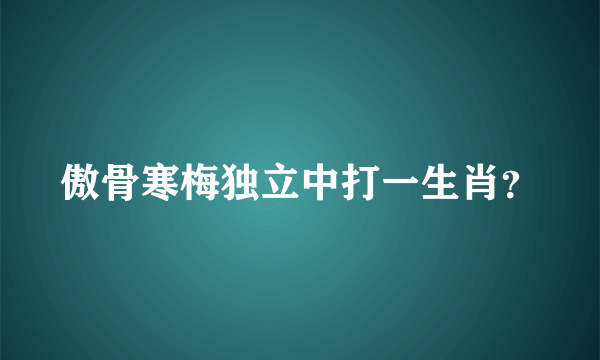 傲骨寒梅独立中打一生肖？