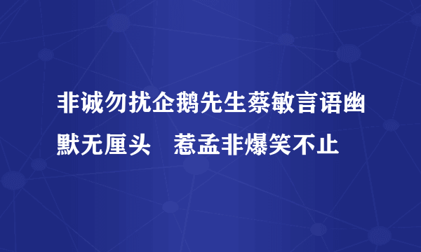 非诚勿扰企鹅先生蔡敏言语幽默无厘头   惹孟非爆笑不止