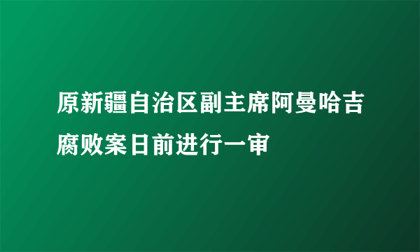 原新疆自治区副主席阿曼哈吉腐败案日前进行一审