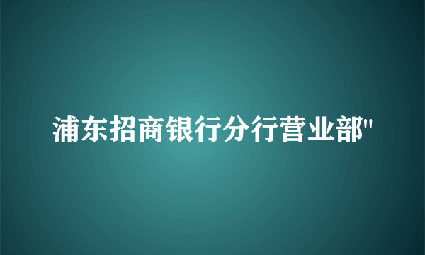 浦东招商银行分行营业部