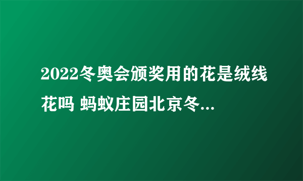 2022冬奥会颁奖用的花是绒线花吗 蚂蚁庄园北京冬奥会颁奖用花2.5