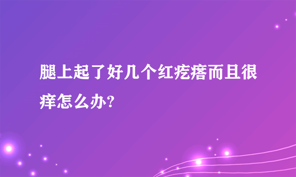 腿上起了好几个红疙瘩而且很痒怎么办?