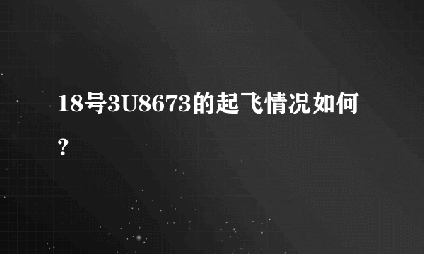 18号3U8673的起飞情况如何？