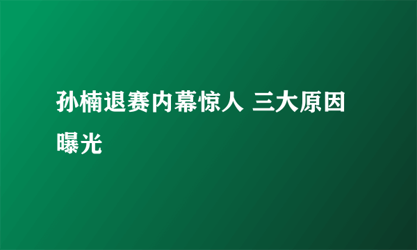 孙楠退赛内幕惊人 三大原因曝光