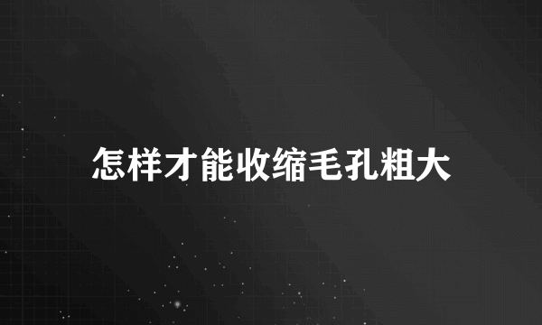 怎样才能收缩毛孔粗大