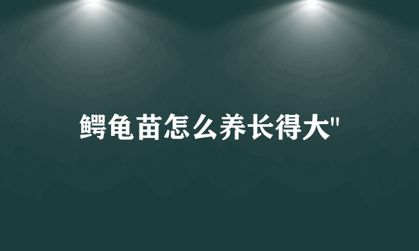 鳄龟苗怎么养长得大