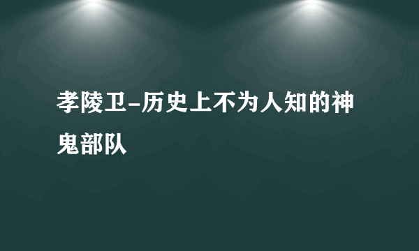 孝陵卫-历史上不为人知的神鬼部队